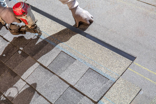 Best Roof Leak Repair  in Mascot, TN